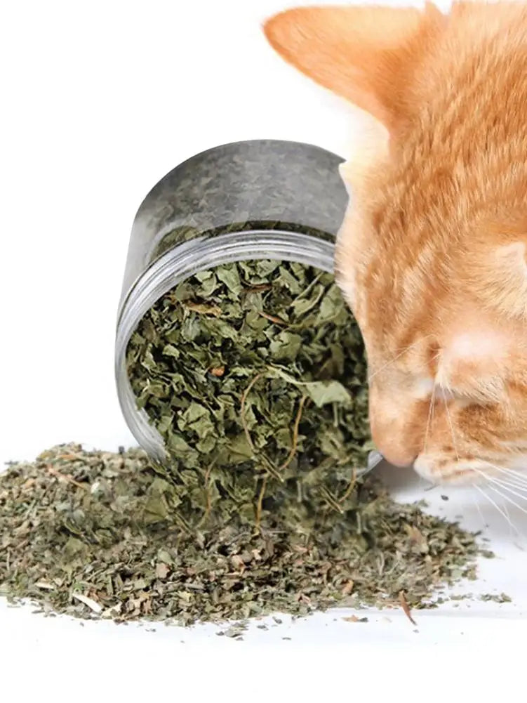 Organic Catnip Toy